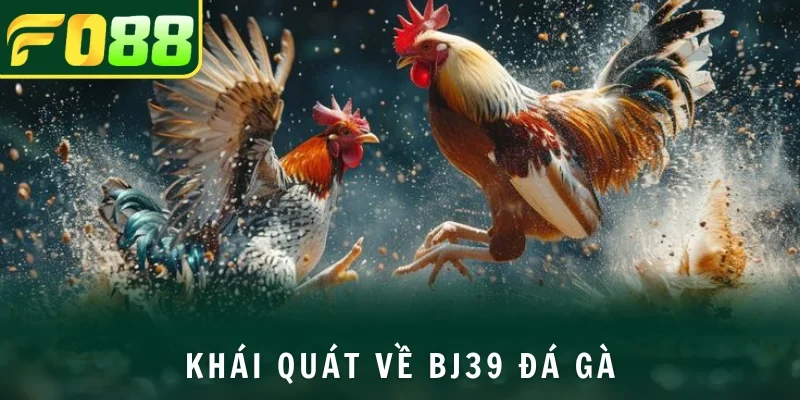 Khám phá thông tin về BJ39 đá gà